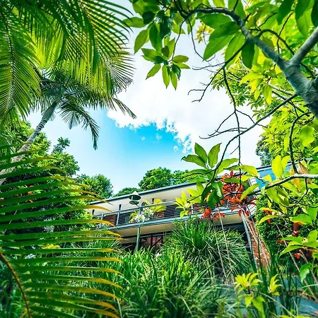 Bella Vista Bellingen-2